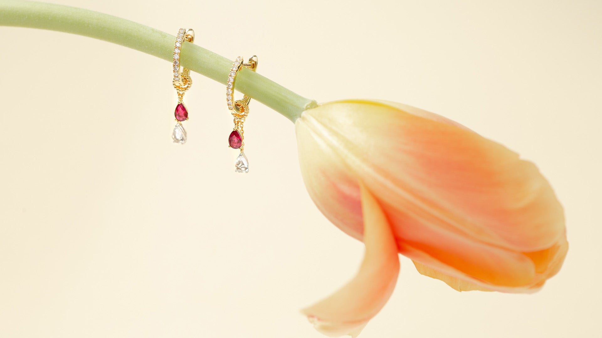 slider image slider_item_7CfQCj